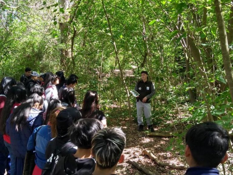 La Reserva Municipal de Santa Catalina recuperó un área interna