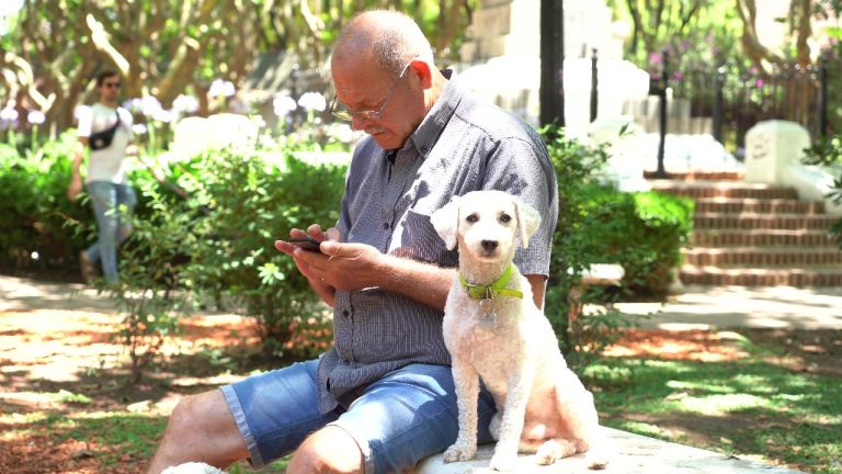 Amplían turnos de zoonosis en Vicente López