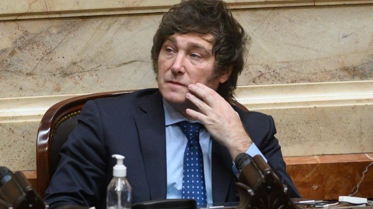 Milei empieza a definir su Gabinete y confirmó que  privatizará YPF y los medios de comunicación