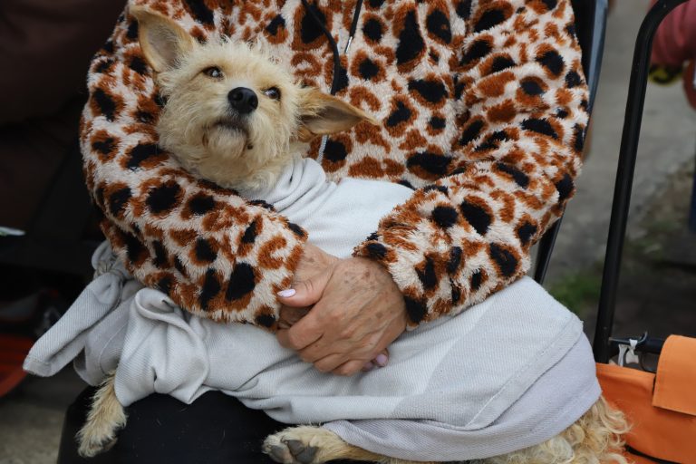 Operativo de vacunación a mascotas en 9 de Abril