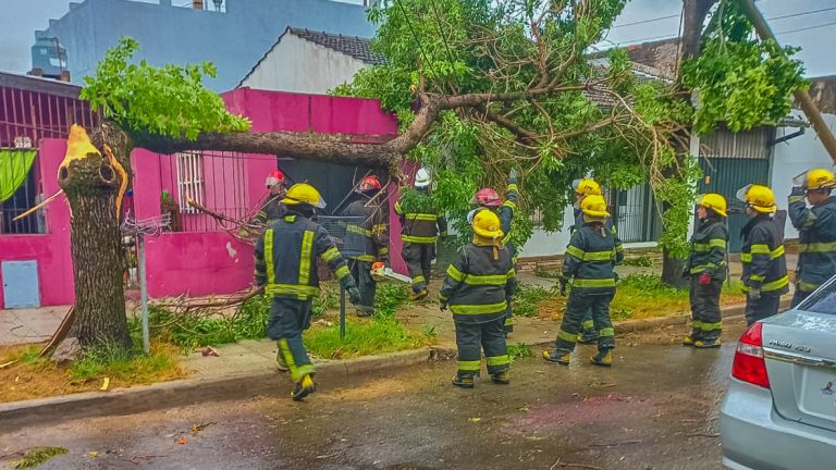San Fernando declaró la Emergencia Climática tras el temporal