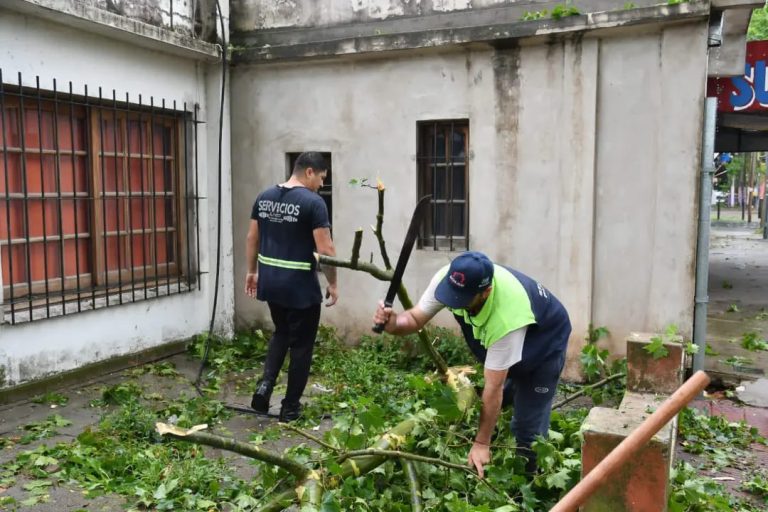 Trabajos de limpieza en San Vicente