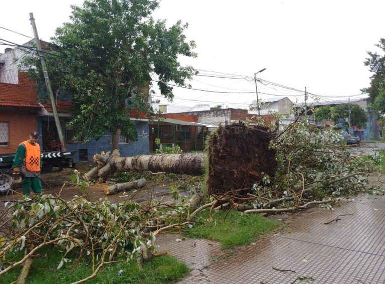 El Comité de Crisis de San Martín trabaja en todos los barrios para paliar los efectos del temporal