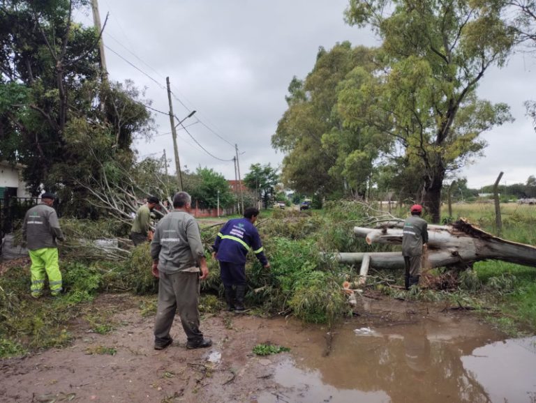 Distintos operativos territoriales en Varela