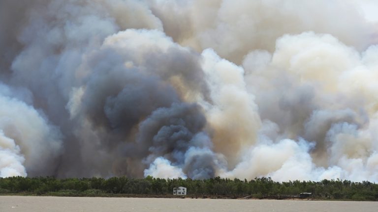 Realizan quemas controladas para evitar incendios en el Paraná