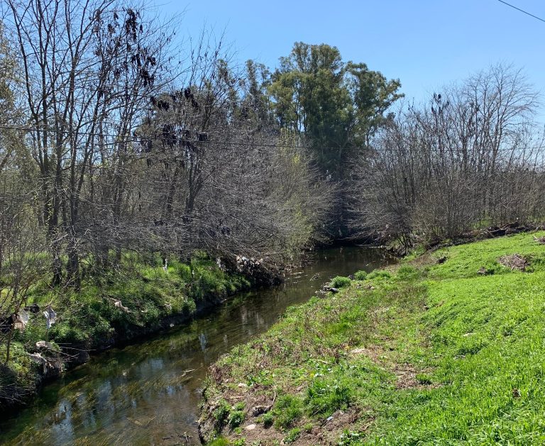 Avanza la limpieza del arroyo Aguirre en Ezeiza