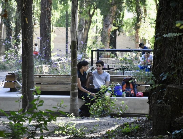 Suman actividades recreativas en Parque Saludable de Brown