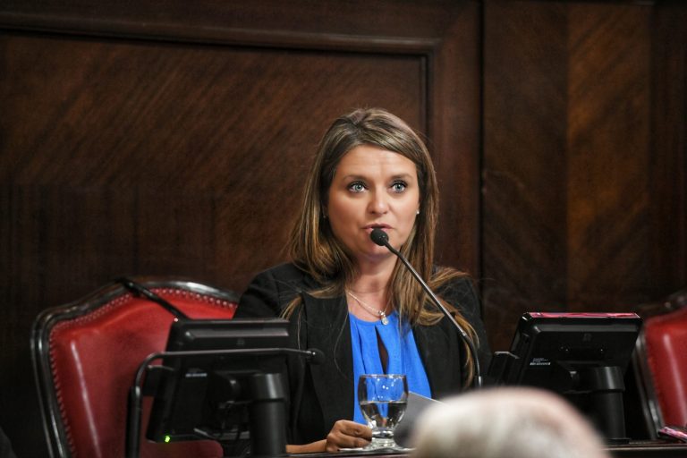 Legisladores bonaerenses radicales piden que no se elimine el régimen de “Zona Fría”