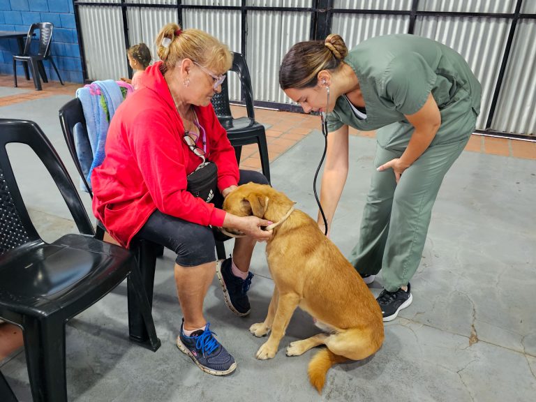 Campaña de vacunación de mascotas en Gutiérrez