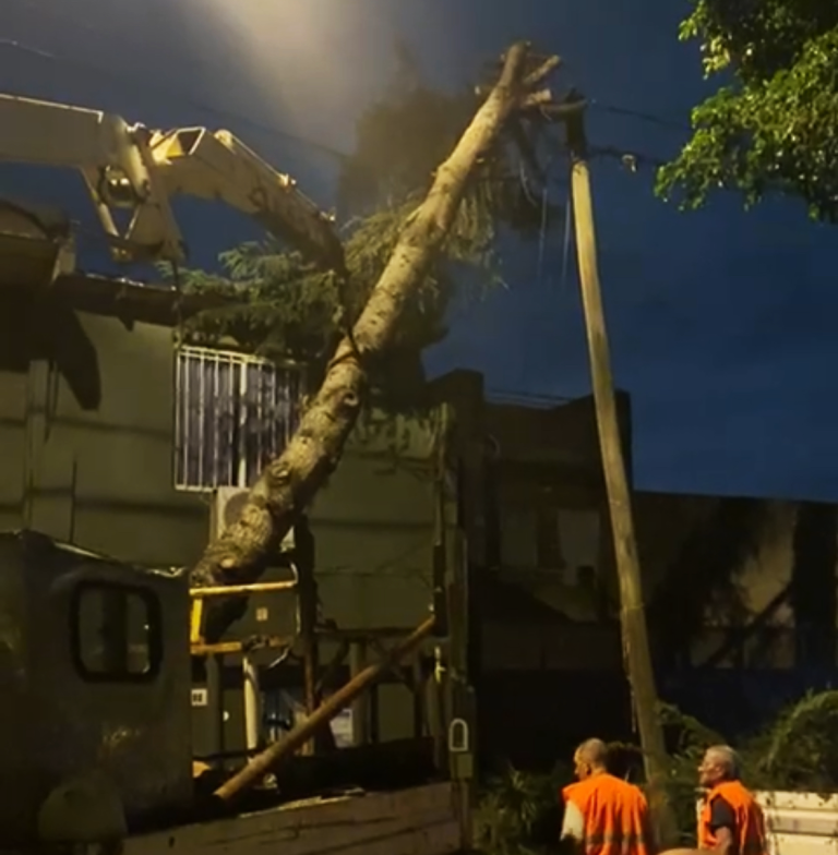 Despliegan operativos de Defensa Civil en La Matanza