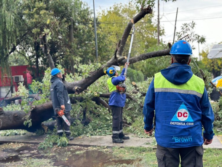 Las cuadrillas de Almirante Brown siguen mitigando los efectos de la tormenta