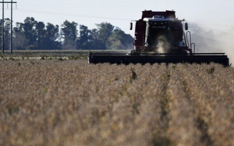 Nuevos créditos para el sector agropecuario