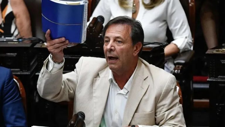 Crisis interna en La Libertad Avanza: el oficialismo removió a Zago en Diputados