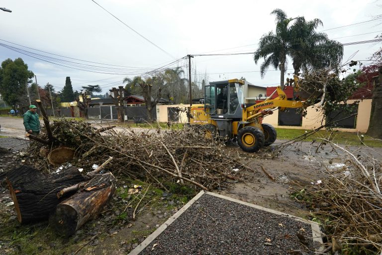 Operativo de limpieza en Luis Guillón