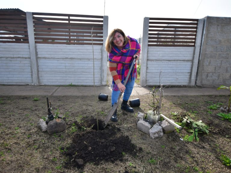 Entregan árboles para fomentar cuidado ambiental