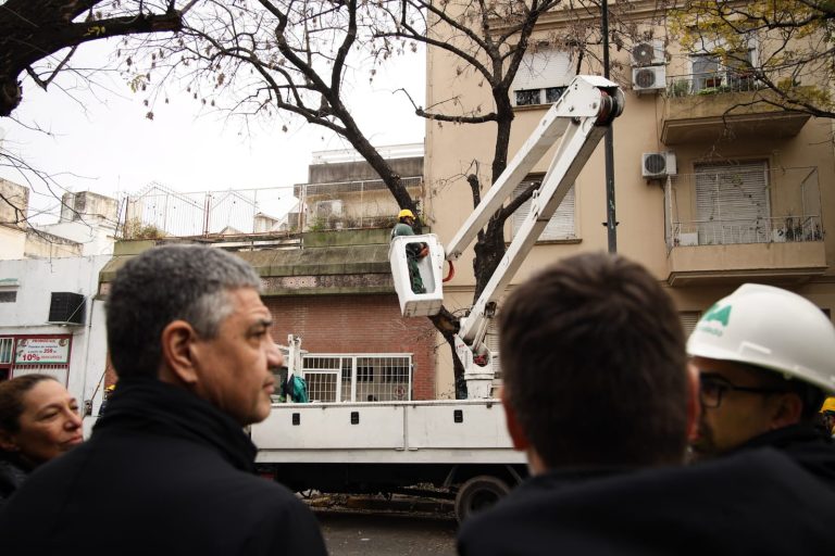 Avanza el plan anual de poda en la Ciudad: ya se realizaron más de 26 mil intervenciones