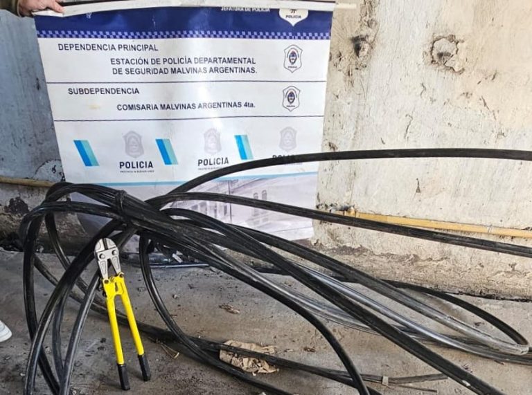 La policía detuvo a un hombre que se dedicaba al robo de cables en Tortuguitas