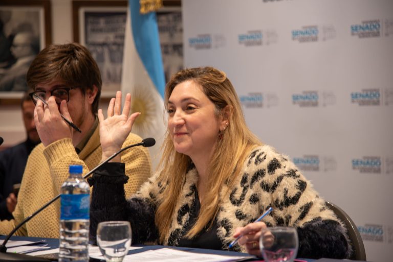 Ahumada impulsa un proyecto para restringir el lenguaje inclusivo en escuelas bonaerenses