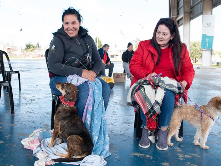 Jornada de atención veterinaria en Villa Angélica