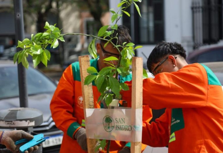 El Plan Integral de Arbolado de San Isidro ya sumó 1.500 nuevos ejemplares