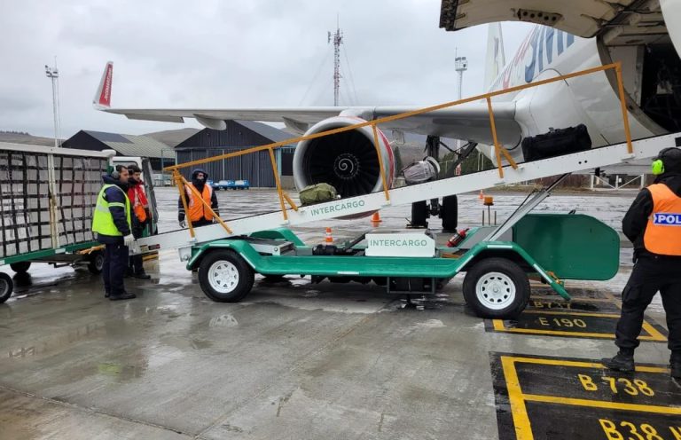Conflicto con Intercargo: las fuerzas de seguridad podrán brindar servicios aeroportuarios y de rampa