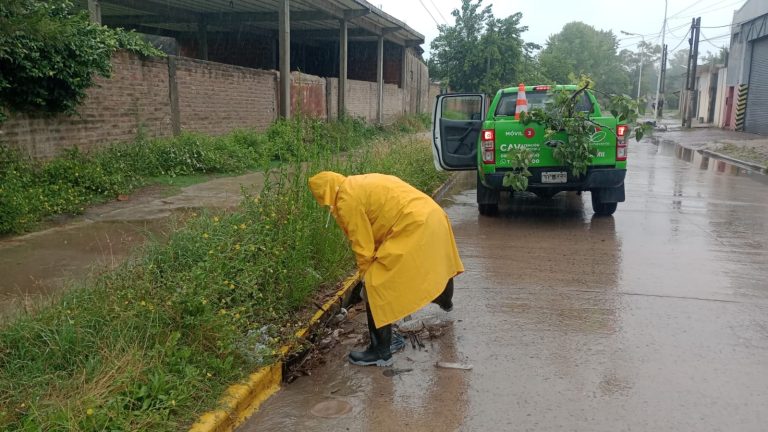 Trabajos de saneamiento y limpieza tras el temporal en Esteban Echeverría