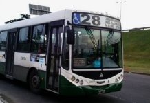 Golpe al usuario: 104 líneas de colectivo reducirán sus frecuencias nocturnas