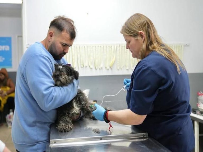Más de 120 castraciones gratuitas en Lomas por el Día de la Zoonosis