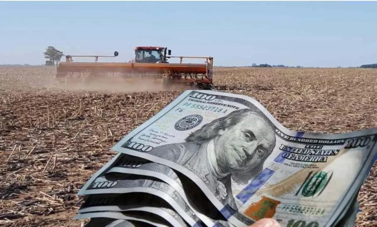 Se formaliza la baja de retenciones a las exportaciones del campo