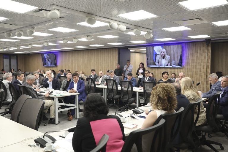 Intendentes reclamaron en Diputados una reducción del IVA para compras y contrataciones de municipios
