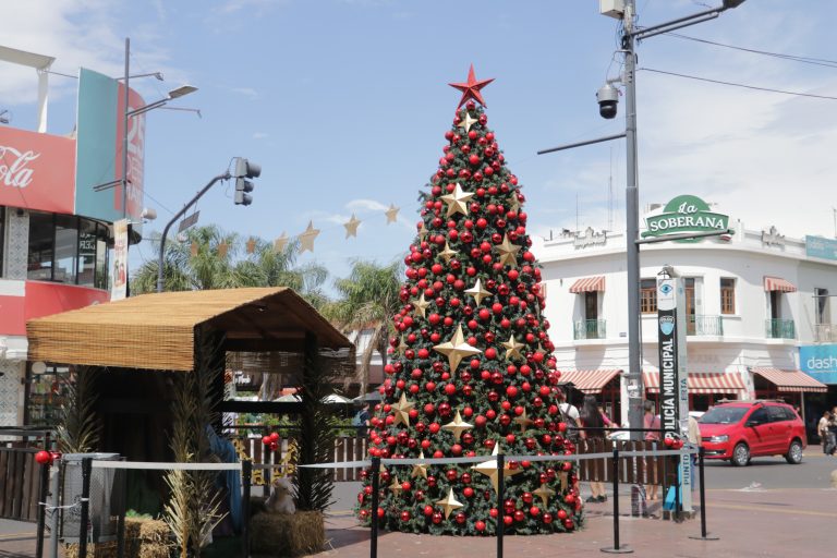 San Miguel decora el espacio público y luce su tradicional espíritu navideño