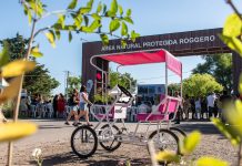 Mariel Fernández lanzó la Temporada de Verano 2026 en el Distrito Ecológico Roggero