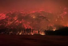 Acusan a Milei de “desfinanciar” el Servicio Nacional del Manejo del Fuego