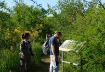 Verano en la Reserva Natural Urbana de San Miguel
