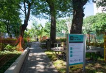 La Plaza Almagro se renueva para mejorar las áreas de descanso