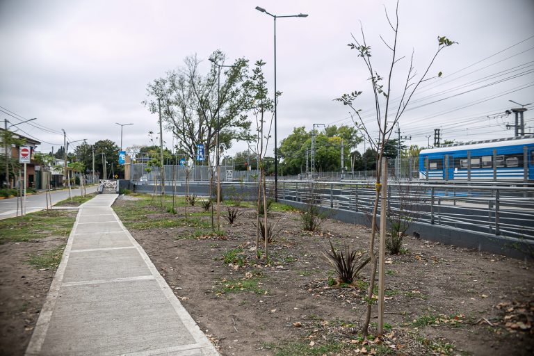 Almirante Brown forestó espacios públicos con más de mil plantas nativas