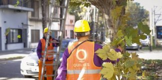 Comenzó el Plan Integral de Poda Correctiva y Responsable 2026 en Quilmes
