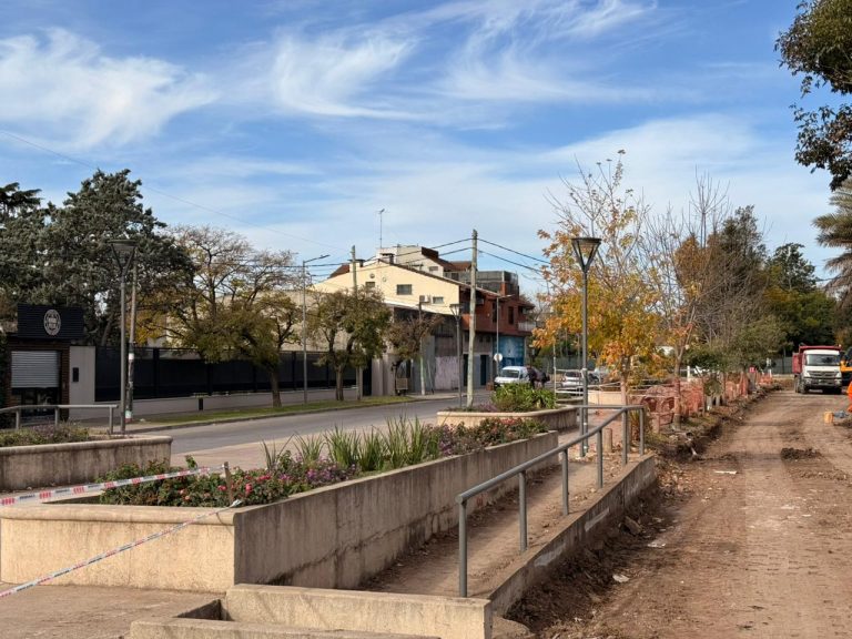 Amplían el Paseo Blasco Ibáñez con un nuevo pavimento