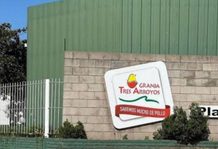 Cientos de puestos de trabajo en jaque en Ezeiza y Esteban Echeverría por Granja Tres Arroyos