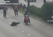 Ebria y drogada, atropelló un policía en General Pacheco y huyó