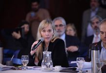 Di Tullio: “¿Por qué el peronismo tiene que hacer autocrítica sobre cosas que no se sabe si sucedieron?”
