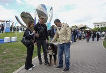 La Ciudad impulsa una ley para que cada perro y gato tenga un número único de identificación